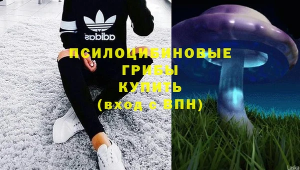 спиды Алексеевка