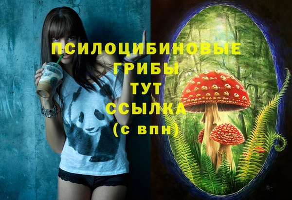 спиды Алексеевка