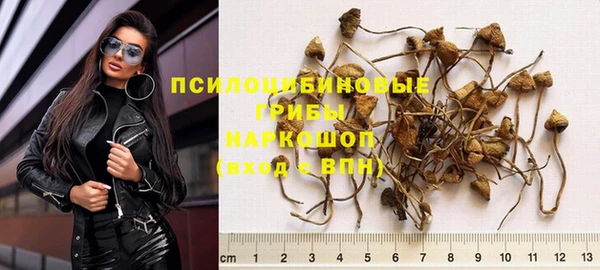 спиды Алексеевка