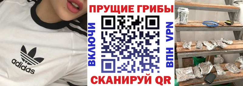Псилоцибиновые грибы Psilocybe  продажа наркотиков  Красноуфимск 
