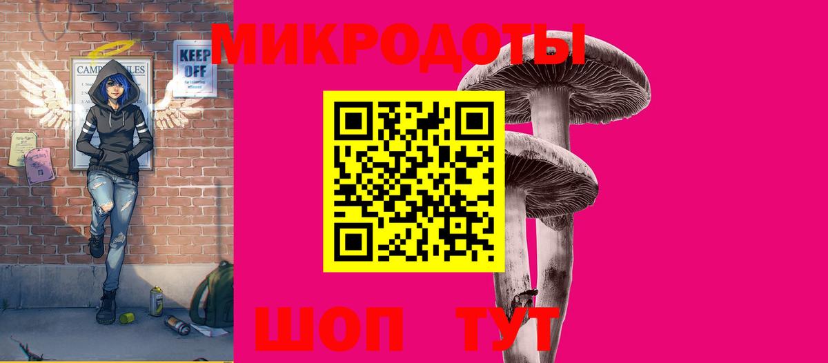 Псилоцибиновые грибы Psilocybine cubensis Красноуфимск